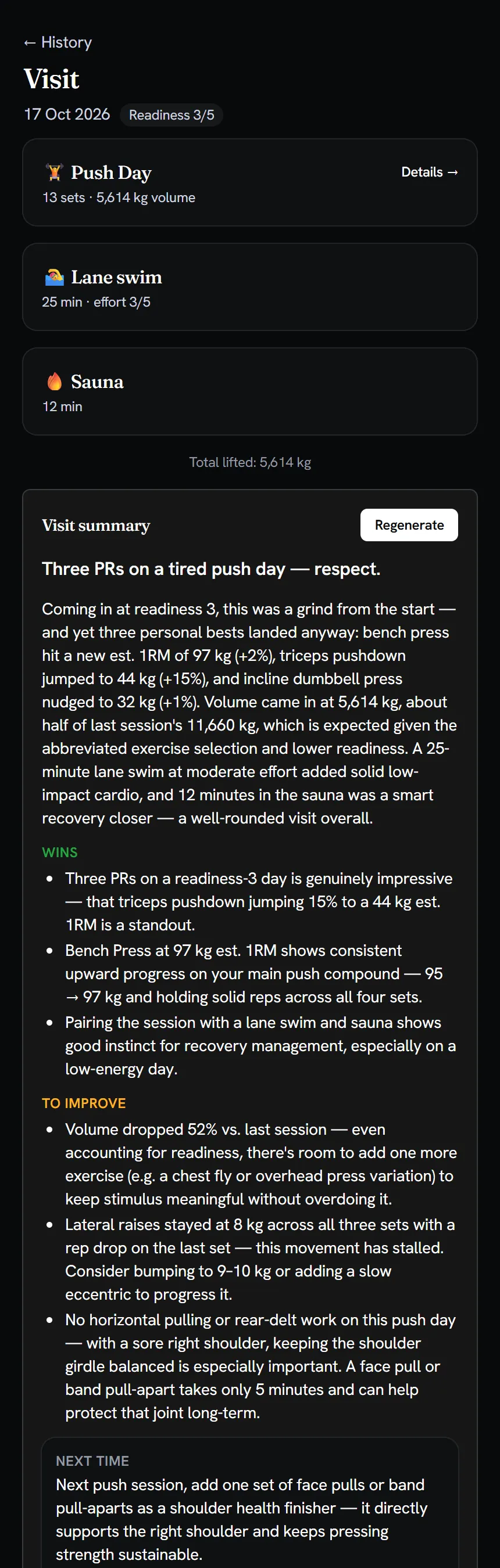 Visit page for one day listing a Push Day workout, a lane swim and a sauna, with an AI summary: headline, paragraph, wins, areas to improve and a next-time suggestion